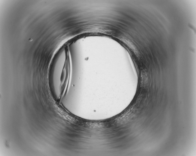 X0000094951020200712201132