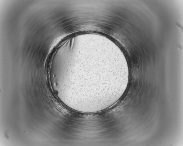 X0000094951022200712201132