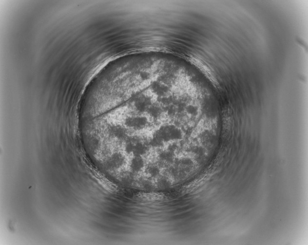 X0000094951023200712201132