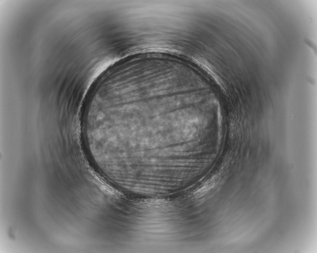 X0000094951024200712201132