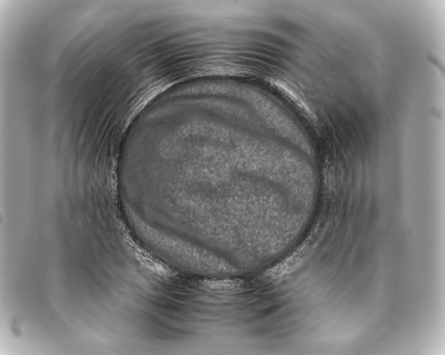 X0000094951025200712201132