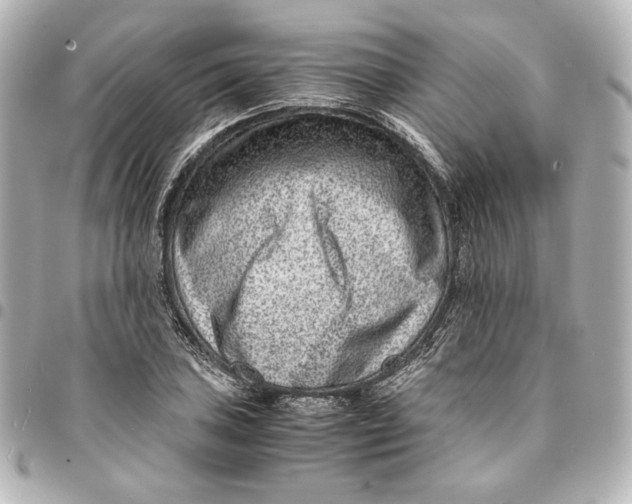 X0000094951027200712201132