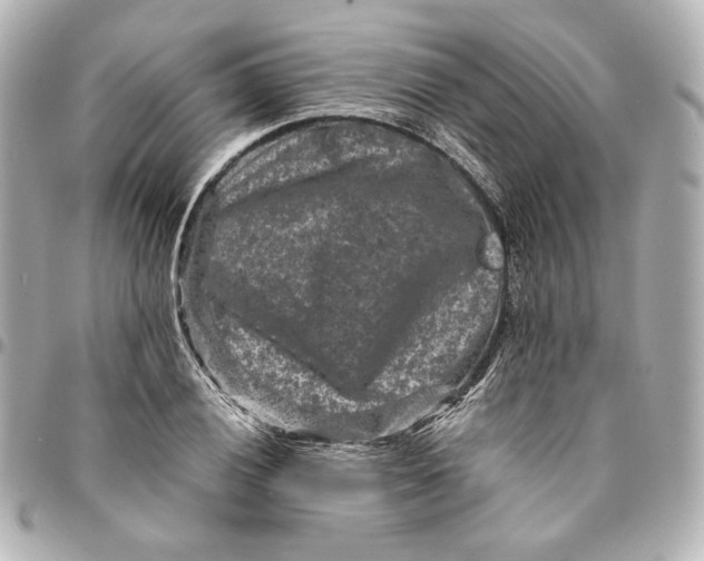 X0000094951028200712201132