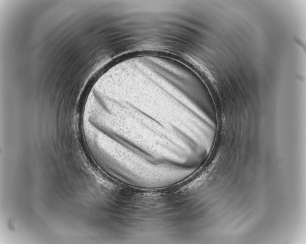 X0000094951029200712201132