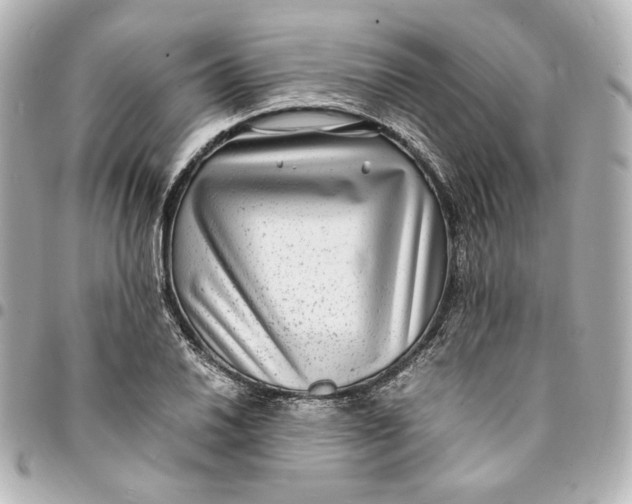 X0000094951030200712201132