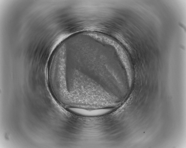 X0000094951032200712201133