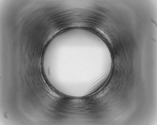 X0000094951033200712201133