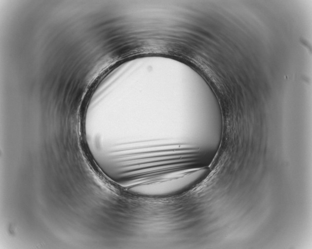 X0000094951034200712201133