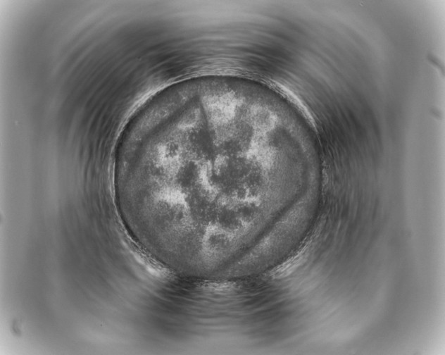 X0000094951035200712201133