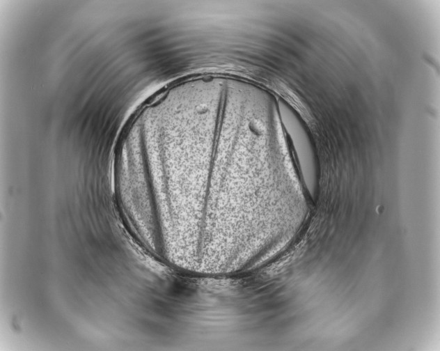 X0000094951036200712201133