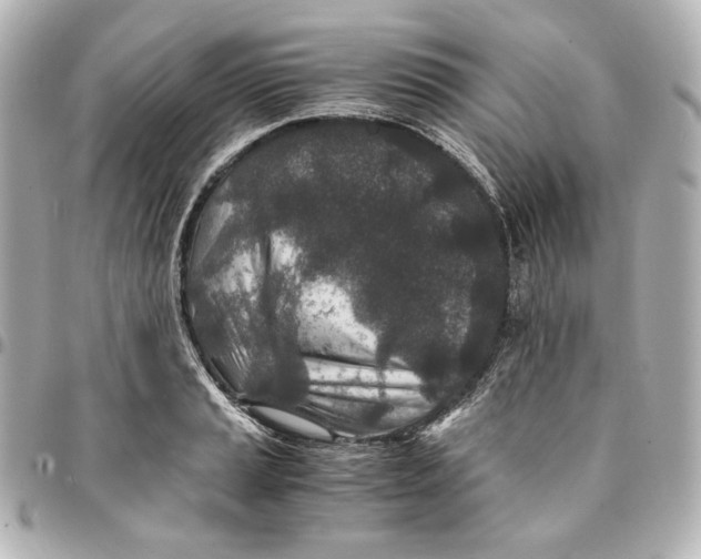 X0000094951037200712201133