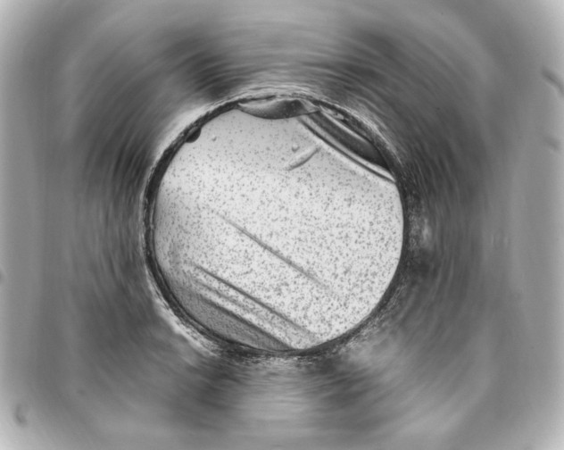 X0000094951038200712201133