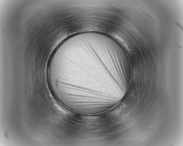 X0000094951039200712201133