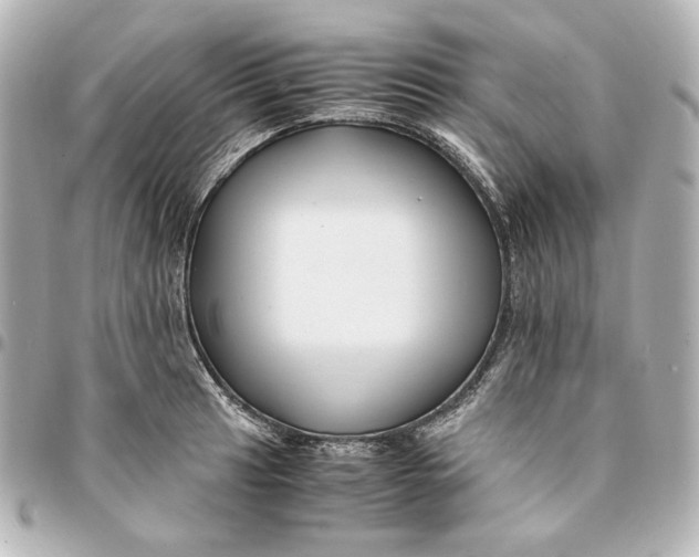 X0000094951041200712201133