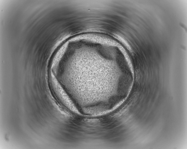 X0000094951043200712201133