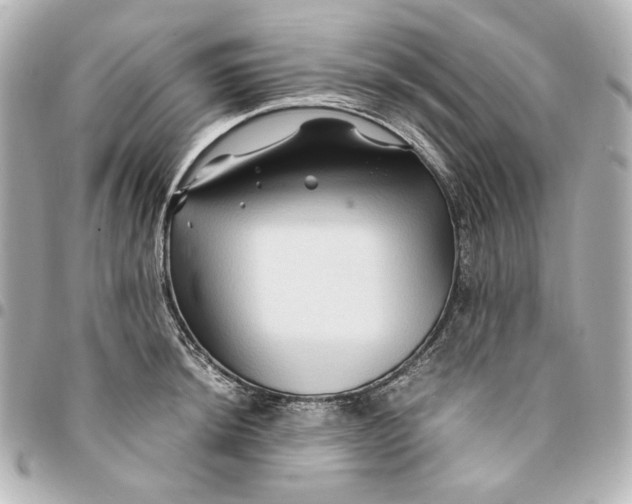 X0000094951044200712201133