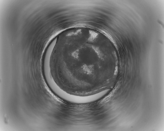 X0000094951045200712201133