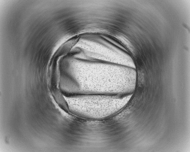 X0000094951046200712201133