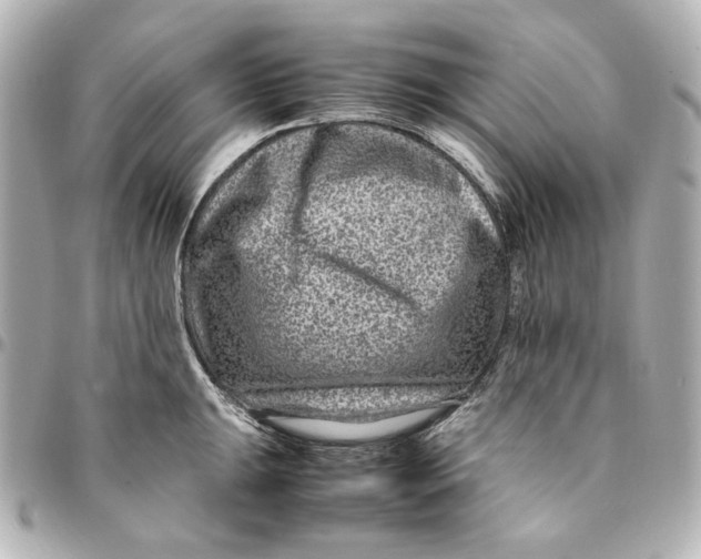 X0000094951047200712201133