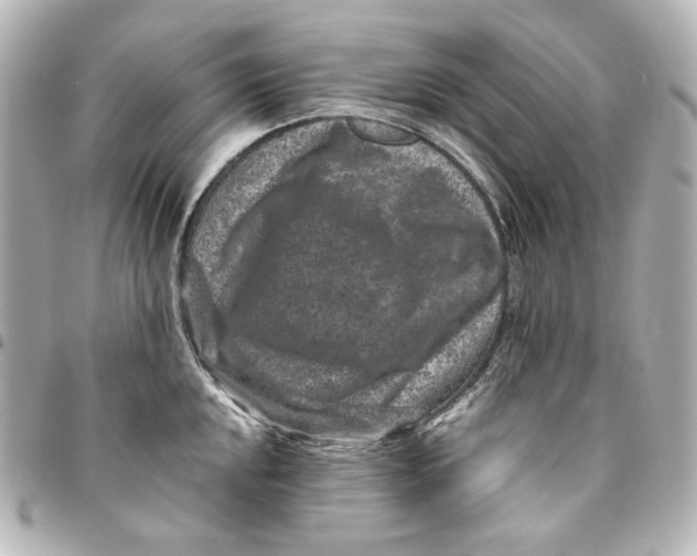 X0000094951048200712201133