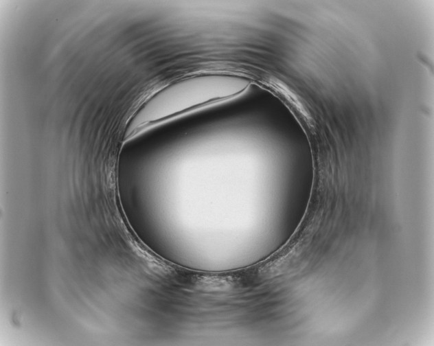 X0000094951049200712201133