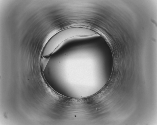 X0000094951050200712201133