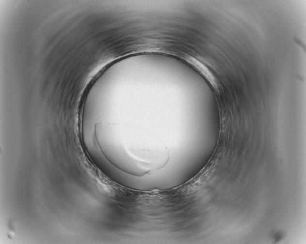 X0000094951051200712201133