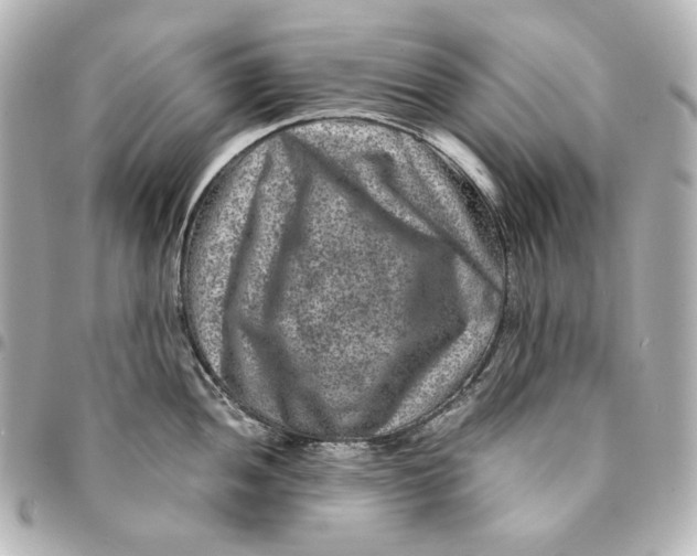 X0000094951052200712201133