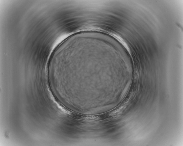 X0000094951053200712201133