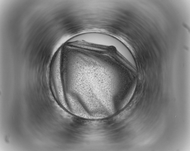 X0000094951054200712201133