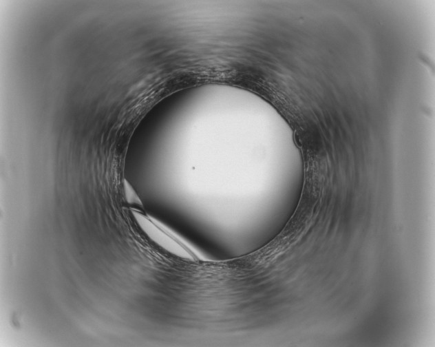 X0000094951058200712201132