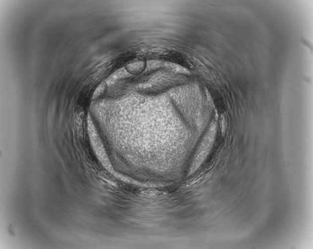 X0000094951059200712201132