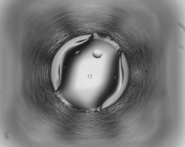 X0000094951060200712201132