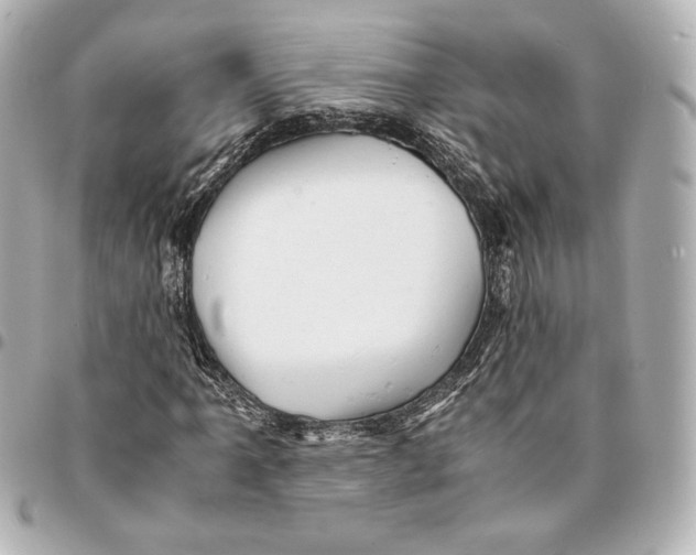 X0000094951061200712201132