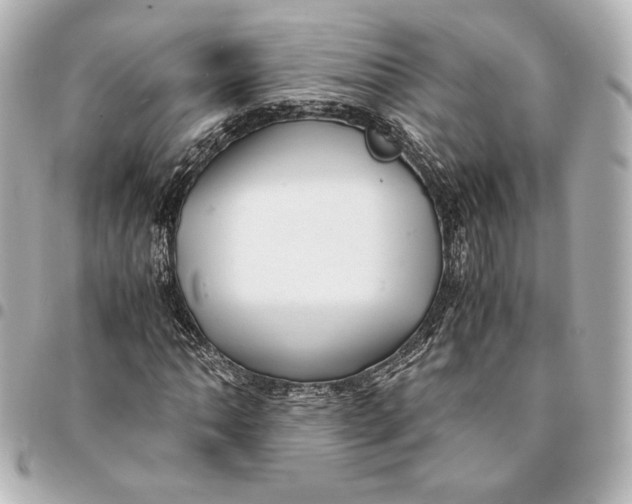 X0000094951062200712201132