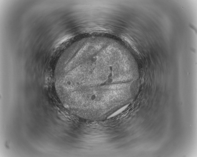 X0000094951063200712201132