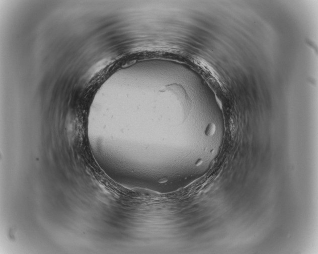 X0000094951064200712201132