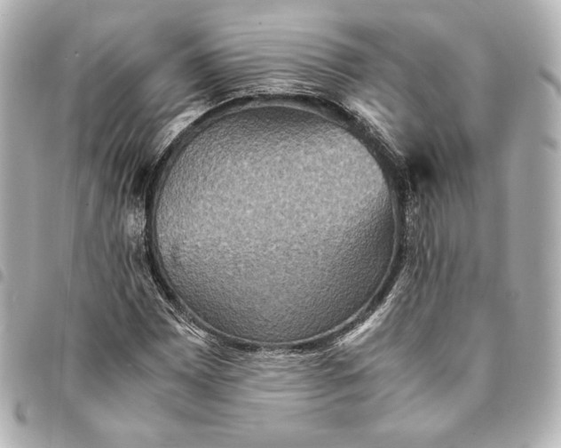 X0000094951065200712201132