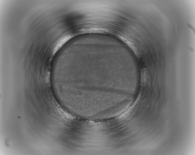 X0000094951066200712201132