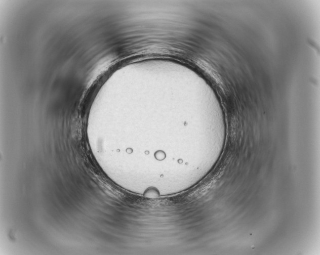 X0000094951067200712201132