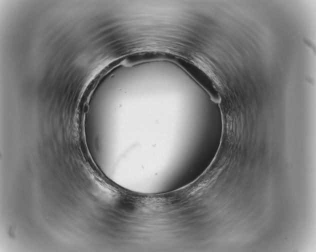 X0000094951068200712201132