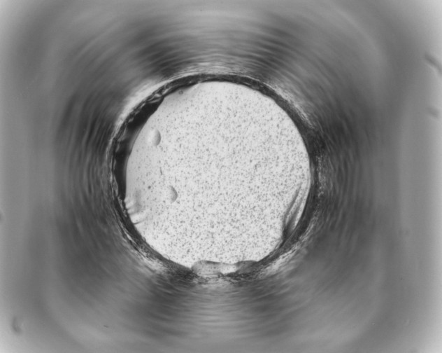 X0000094951070200712201132