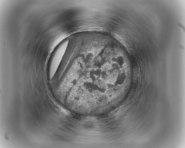 X0000094951071200712201132