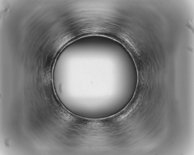 X0000094951073200712201132