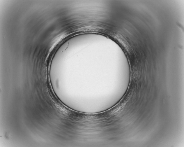 X0000094951075200712201132