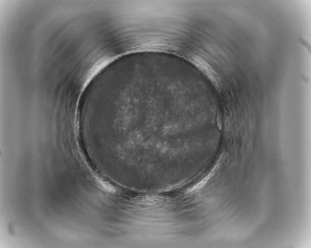 X0000094951077200712201132