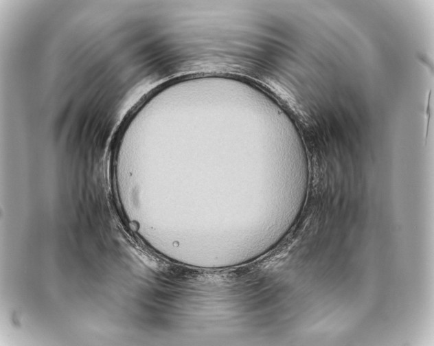 X0000094951078200712201132