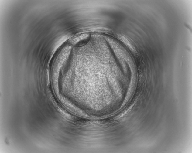 X0000094951079200712201132