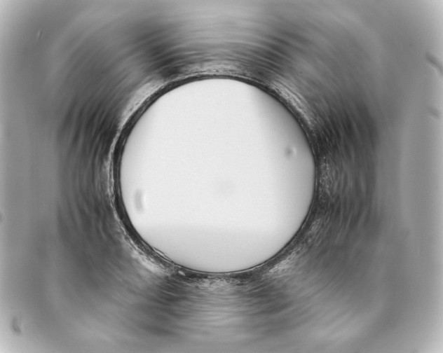 X0000094951082200712201132