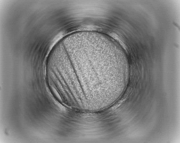 X0000094951083200712201132